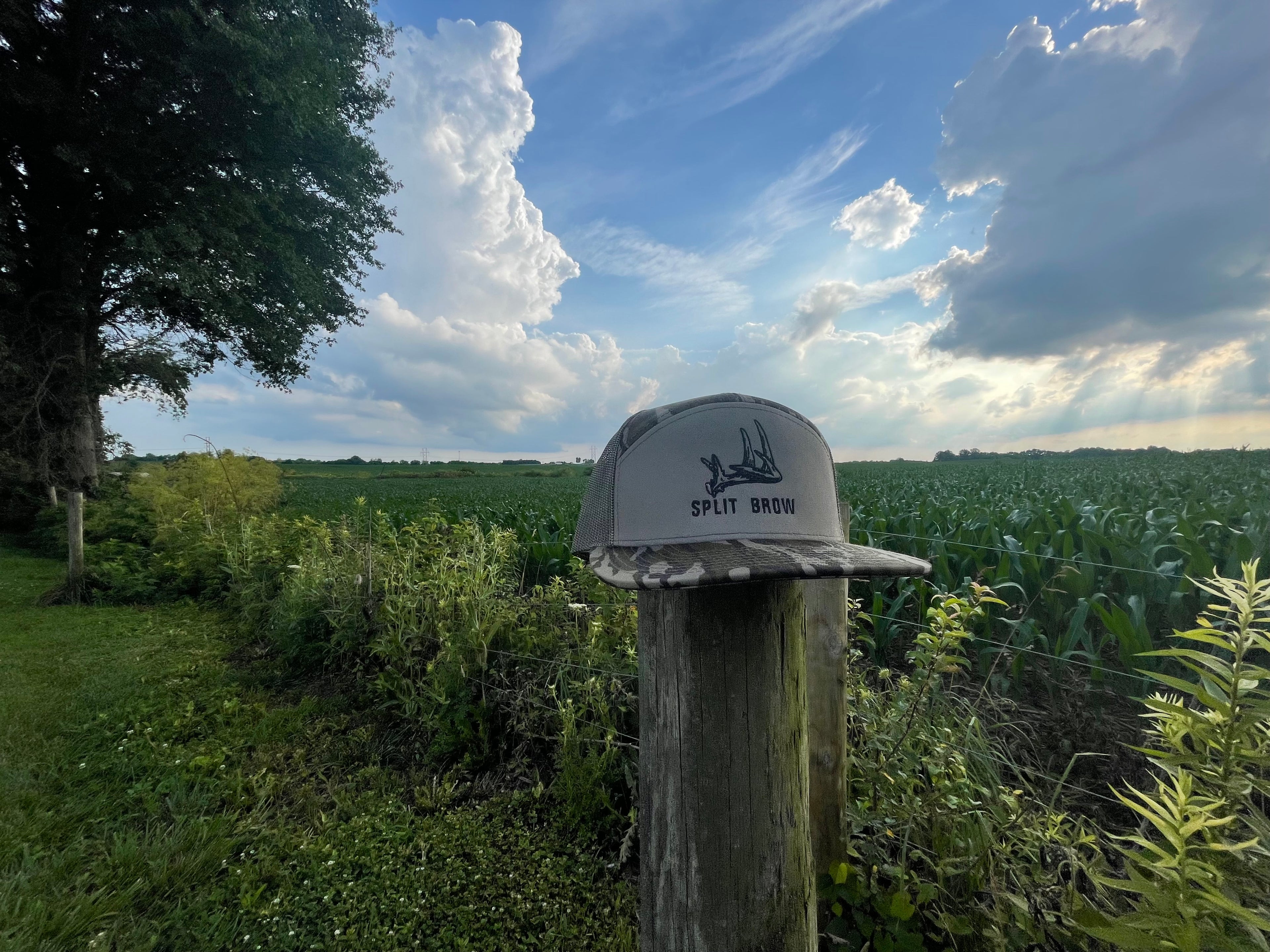 Split Brow Bottomland Hat